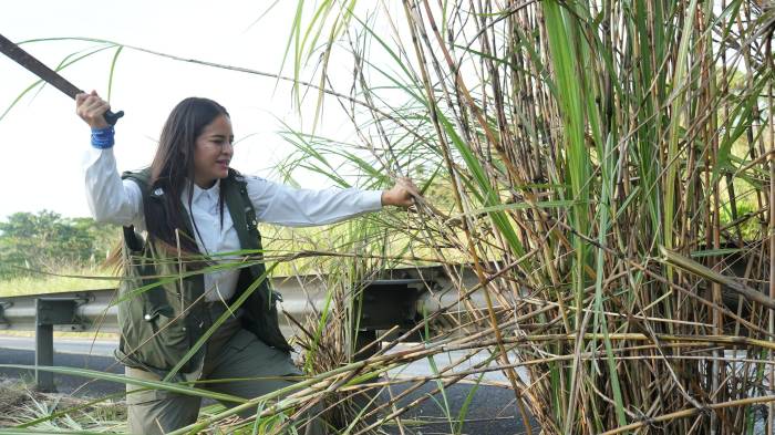 La alcaldesa Stefany Dayan Peñalba también participó en la jornada de limpieza.