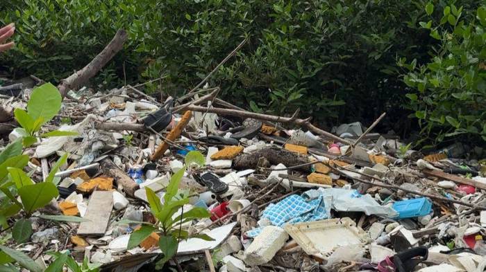 La jornada de limpieza se llevó a cabo el pasado sábado.