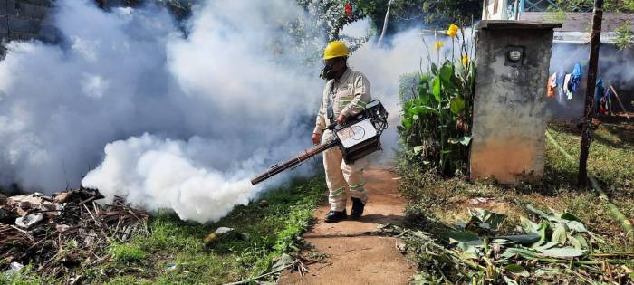 El mosquito asesino sigue causando luto. 46 ciudadanos han muerto por dengue