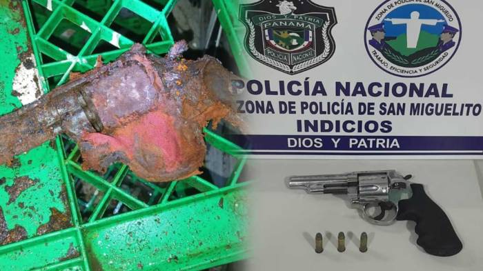 Operativos del Plan Firmeza permitieron capturas, decomisos de armas, droga y control en las vías del país.