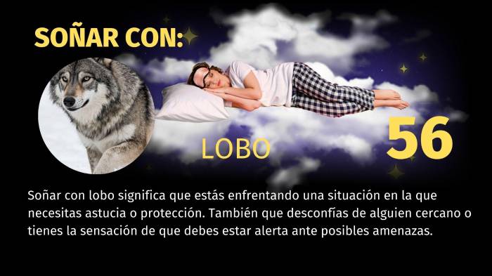 Lotería de Panamá | Pirámide para el sorteo del 14 de febrero de 2026