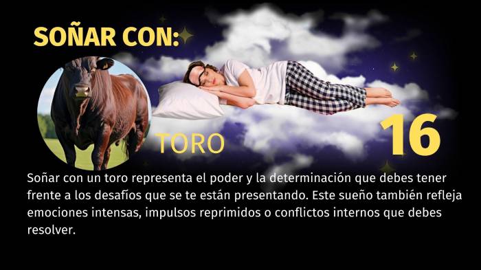 Lotería de Panamá | Pirámide para el sorteo del 8 de febrero de 2026