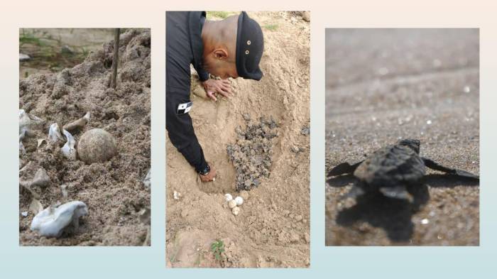 Un nuevo ciclo de vida comienza