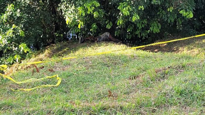 Desconocido hallado muerto a orillas de lago en Colón.