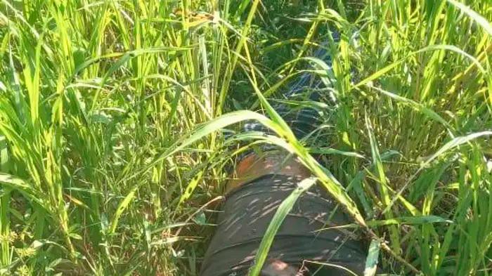 Especial El Siglo investiga | Noviembre al rojo vivo con 46 homicidios