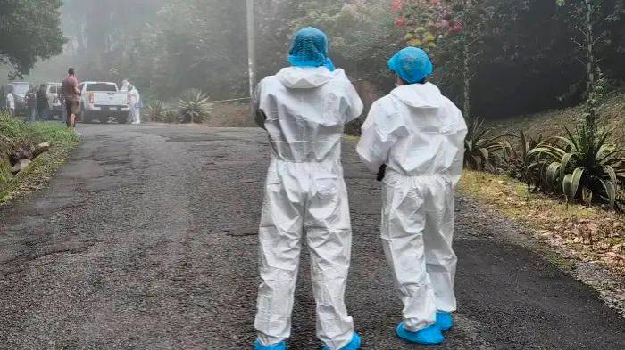 Terror sin freno: en octubre mataron hasta a un bebé