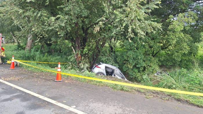 Lineth Torrero / El Siglo