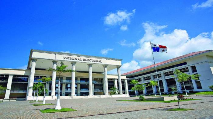 La Comisión Nacional de Reformas Electorales está compuesta por 29 integrantes.