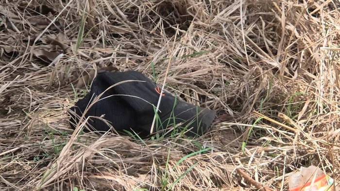 Estaba tirado con varias puñaladas en una finca