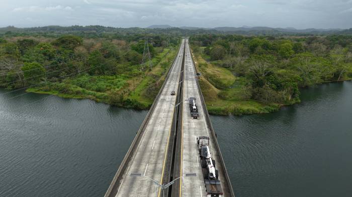 Naturgy fortalece el mantenimiento de la red eléctrica con poda mecanizada