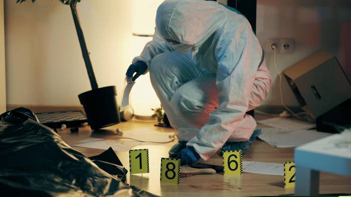 Deviere Willette, hijo mayor de la víctima, sostuvo que no tuvo nada que ver nada con el crimen y que no ha vuelto a ver su madrastra y esposa. Medios como Toofab y Daily Mail se hicieron eco de la noticia.