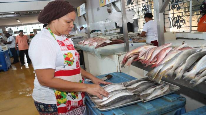 Los principales productos que han destacado en las exportaciones panameñas durante este semestre incluyen pescados, crustáceos, moluscos y otros invertebrados acuáticos.
