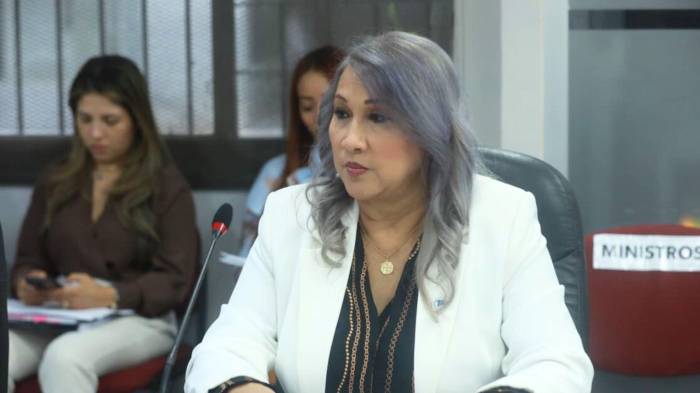 La administradora de la Autoridad Nacional de Pasaportes, Sonia Luzcando, habló sobre el pasaporte para inversionistas.