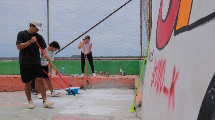 El diseño se realizó utilizando como base los resultados de una encuesta.