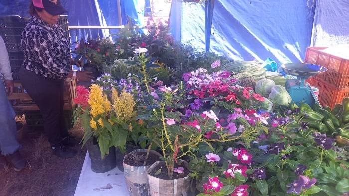 La Feria de las Flores de Chicá florece este año
