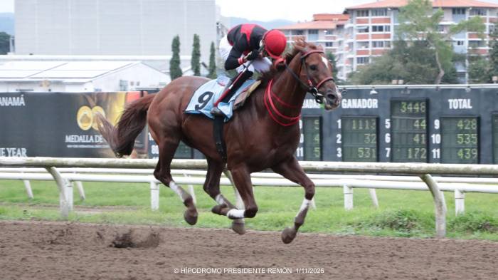 El ejemplar Takao, con la monta de Yonis Lasso, se impuso en el Clásico Independencia 2025.
