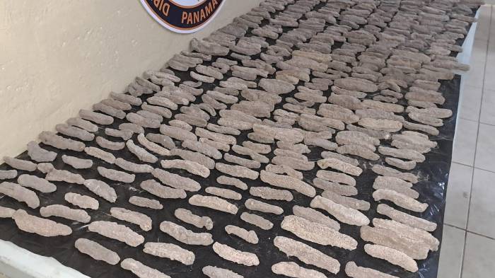 Las autoridades informaron que se ha iniciado una investigación para localizar tanto al remitente como al destinatario del envío.