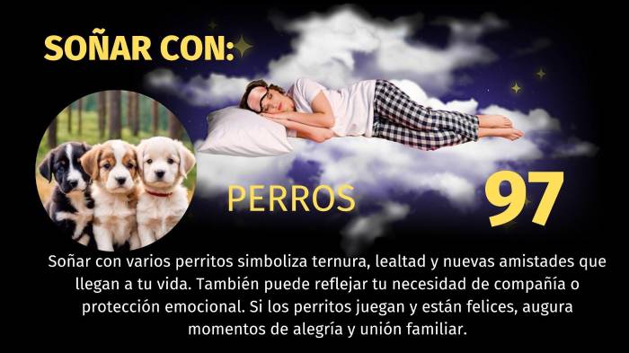 Lotería de Panamá | Pirámide para el sorteo del 19 de octubre de 2025