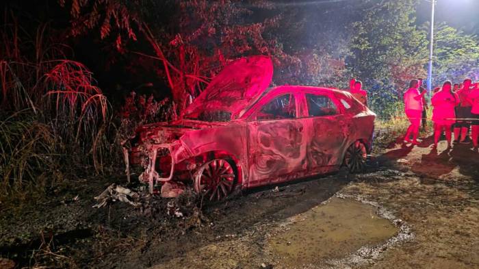 Familiares identificaron el auto.