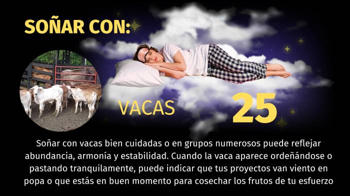 Lotería de Panamá | Pirámide para el sorteo del 12 de noviembre de 2025