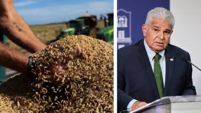 El presidente se refirió a este tema en su conferencia de este jueves.