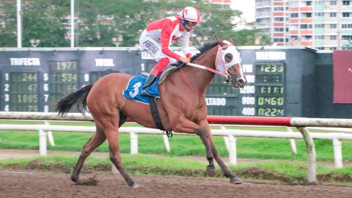 La ganadora fue llevada a la meta como ganador por el jinete Luis Arango.