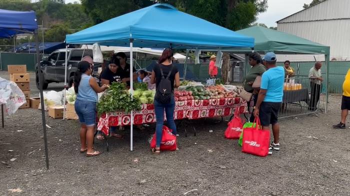 Se busca llevar los productos distintos sectores de la ciudad y ofrecer una cobertura completa.