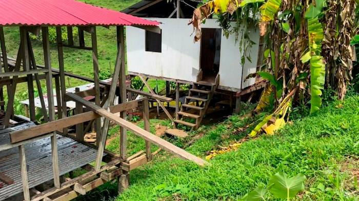 17 femicidios enlutan familias en el país