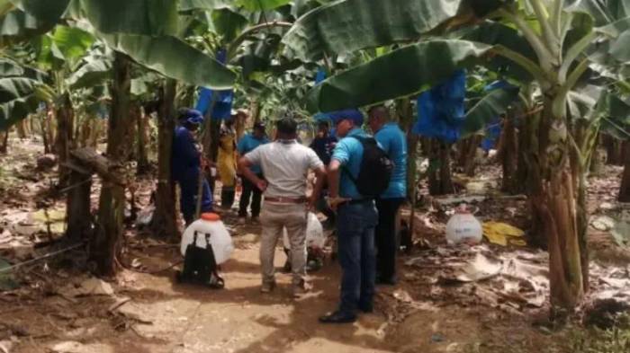 Las jornadas serán coordinadas por el Ministerio de Trabajo y Desarrollo Laboral (Mitradel).