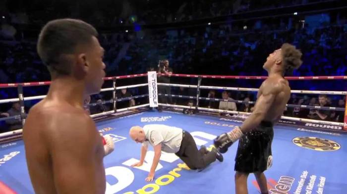 El árbitro cayó a la lona mientras Herrera y Núñez continuaban intercambiando golpes.