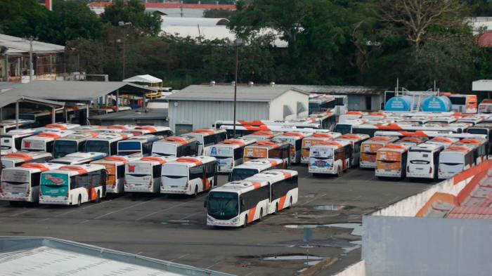 Actualmente, hay seis buses en reparación por estos actos destructivos.