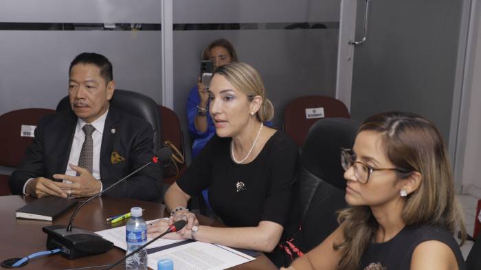 Embajadores de Panamá en Austria y Francia presentan plan de trabajo