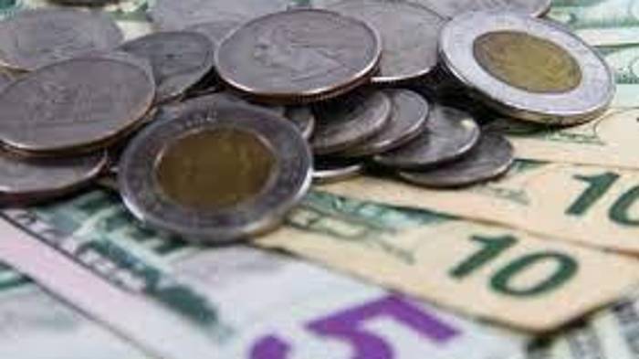 Este desembolso beneficiará a todos los servidores públicos.