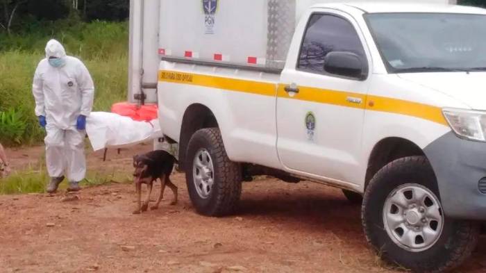 (Especial para El Siglo) ¡Febrero de terror! 28 días de balas, sangre y muerte