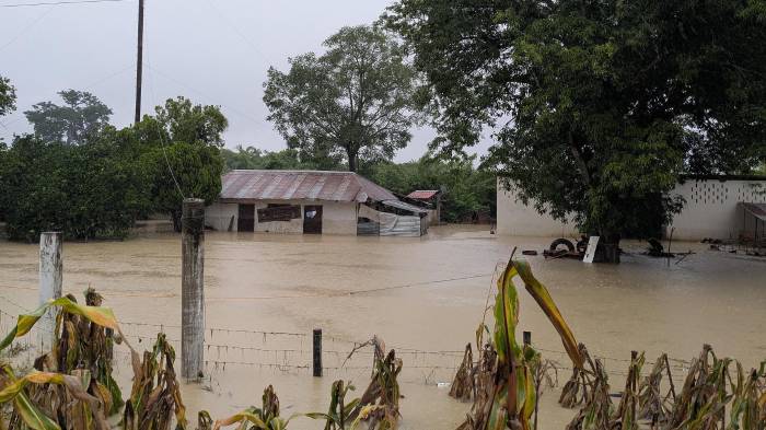 La presidenta de México informó que se realizarán censos para brindar apoyo a la población afectada.