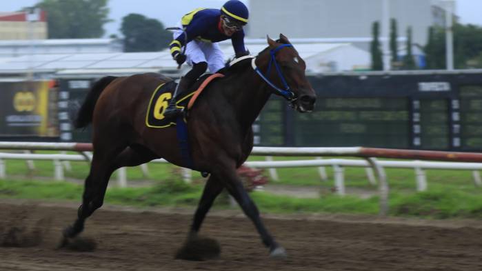 El potro llegando a la meta con la conducción de Jimmy Carrión.