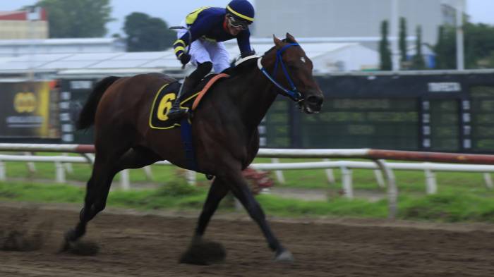 Roberto Barrios / EL SIGLO