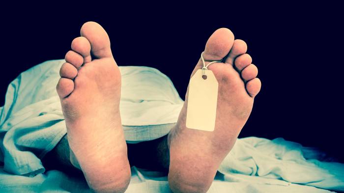 Personal de Bomberos de Panamá atendió el llamado.