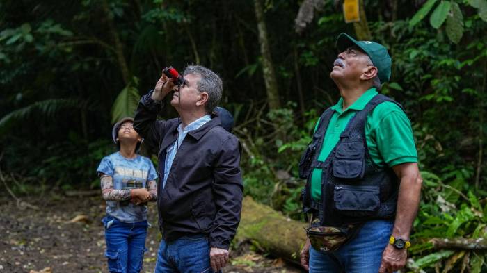 El October Big Day es una competencia internacional, y se espera que los resultados oficiales se publiquen en las próximas 24 a 48 horas.