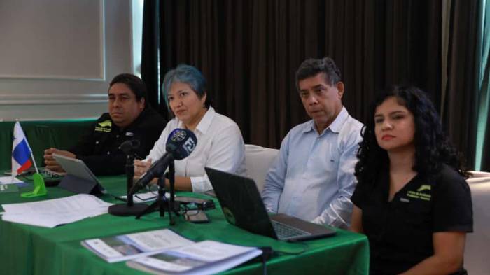 Un grupo de organizaciones ambientales denunció recientemente deficiencias en la auditoría contratada por el Gobierno.