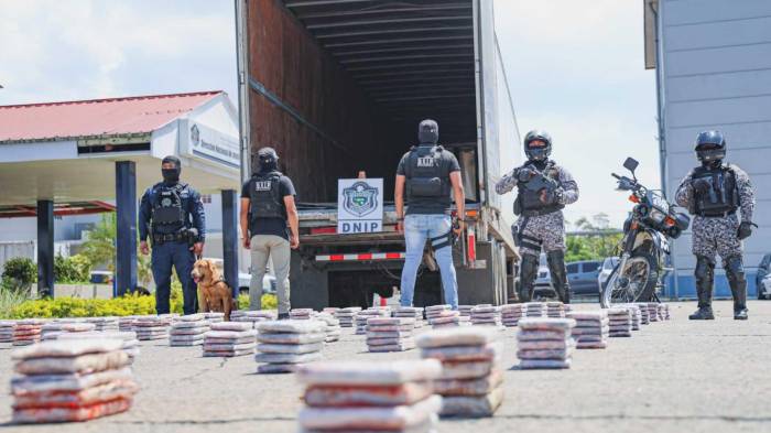 433 paquetes hallados en el contenedor con doble fondo iban con destino a Estados Unidos.