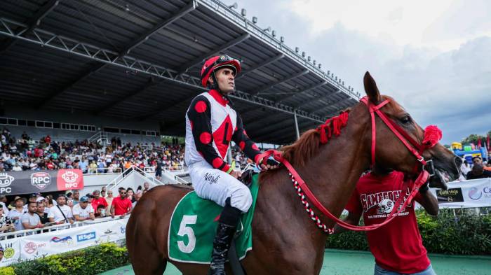 Tormenta de amor ganó el handicap de El Siglo y La Estrella