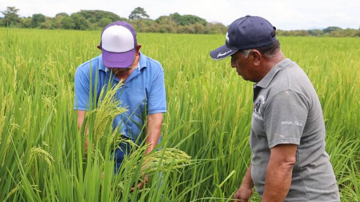 El 15 de mayo se realizó una sesión de la Comisión de Revisión Agrícola del TPC.