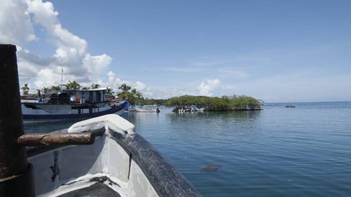 MiAmbiente exhorta a pescadores a proteger especies marinas