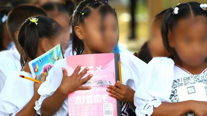 El estudio busca orientar políticas públicas con enfoque intercultural y basadas en evidencia.