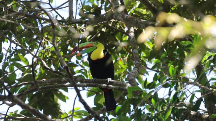La jornada duró 24 horas.