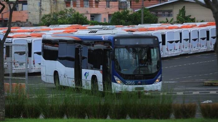 El Metrobús ha generado opiniones divididas entre los usuarios de Caimitillo.