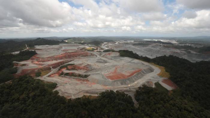 Según MiAmbiente el proceso se enfocará en los aspectos ambientales más relevantes.