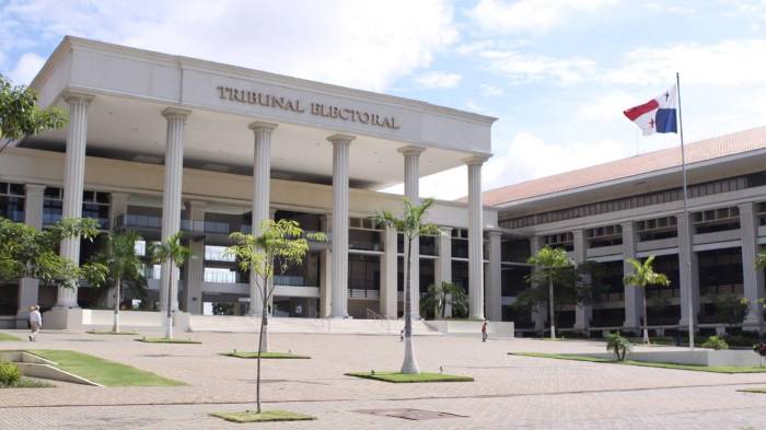 El Tribunal Electoral (TE).