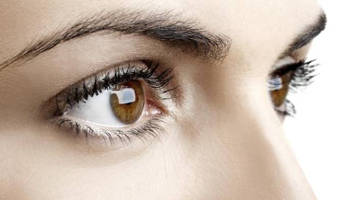 Descubre cómo proteger tu visión: 10 Secretos para ojos sanos y fuertes a largo plazo